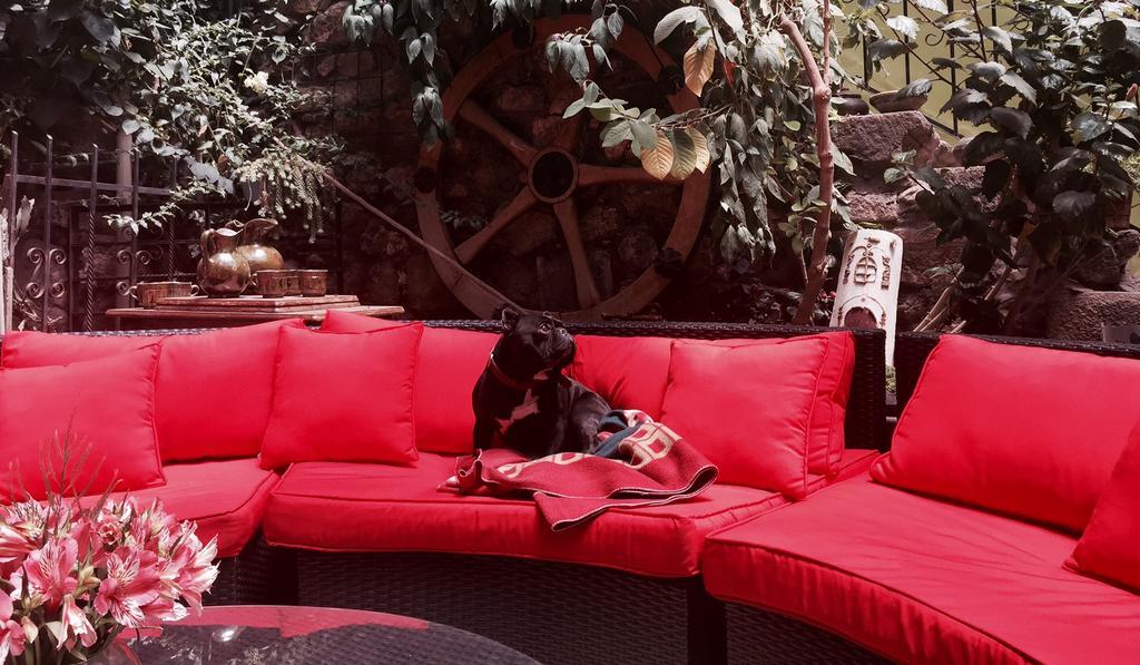 Blacky Hostel And Apartments (Adults Only) Cusco Luaran gambar